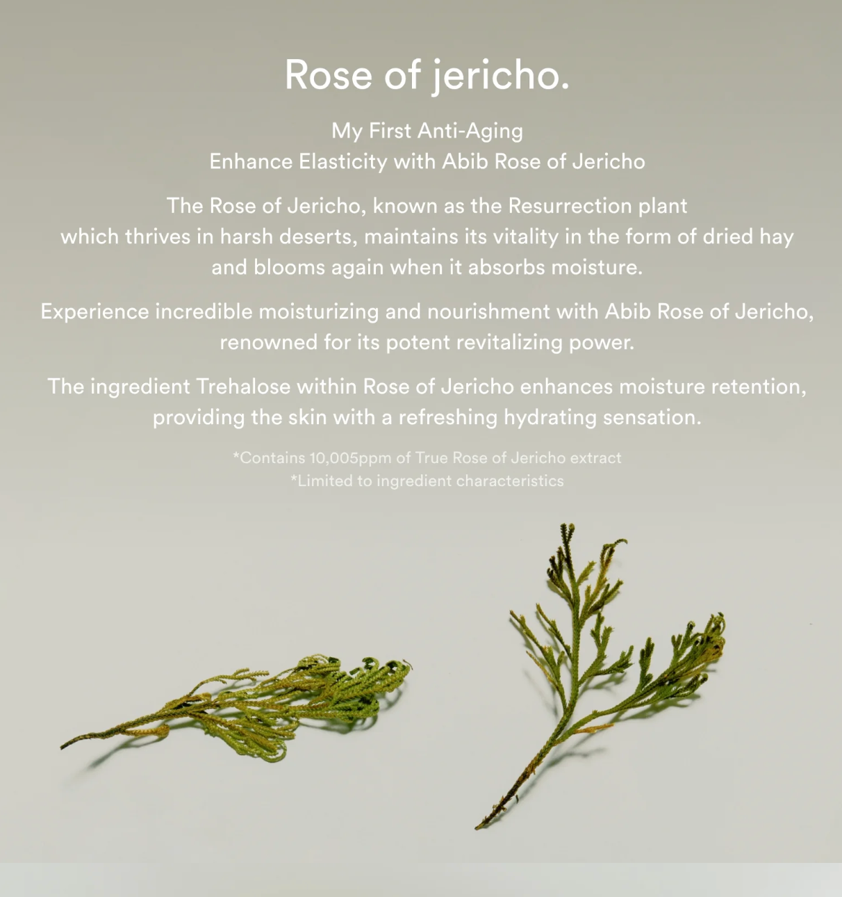 Collageen oogcrème Jericho rose tube