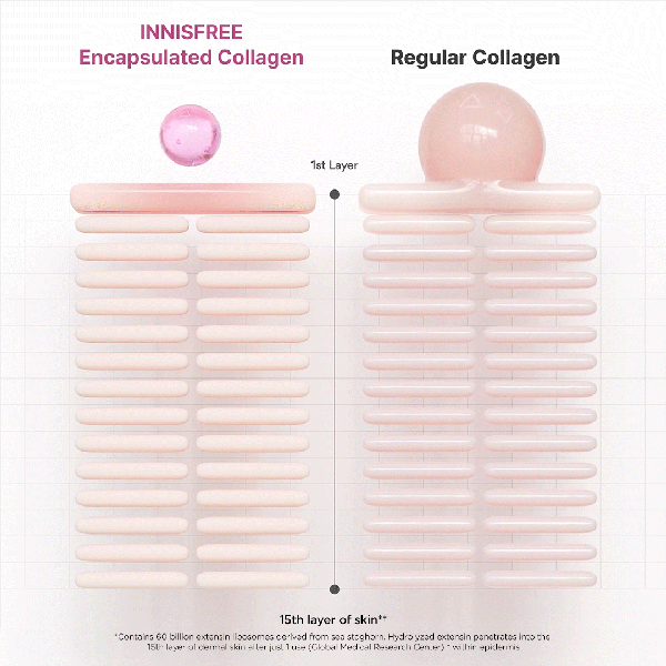 Collagen Green Tea Ceramide Bounce Cream - K-beauty glow