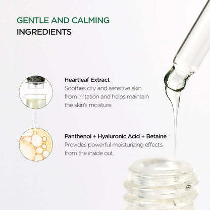 Heartleaf 80% Moisture Verzachtende Ampul
