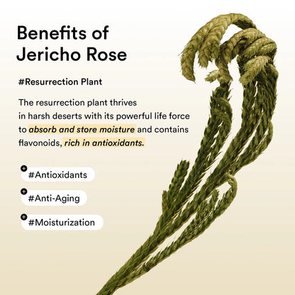 Collagen Eye Patch Jericho Rose Jelly