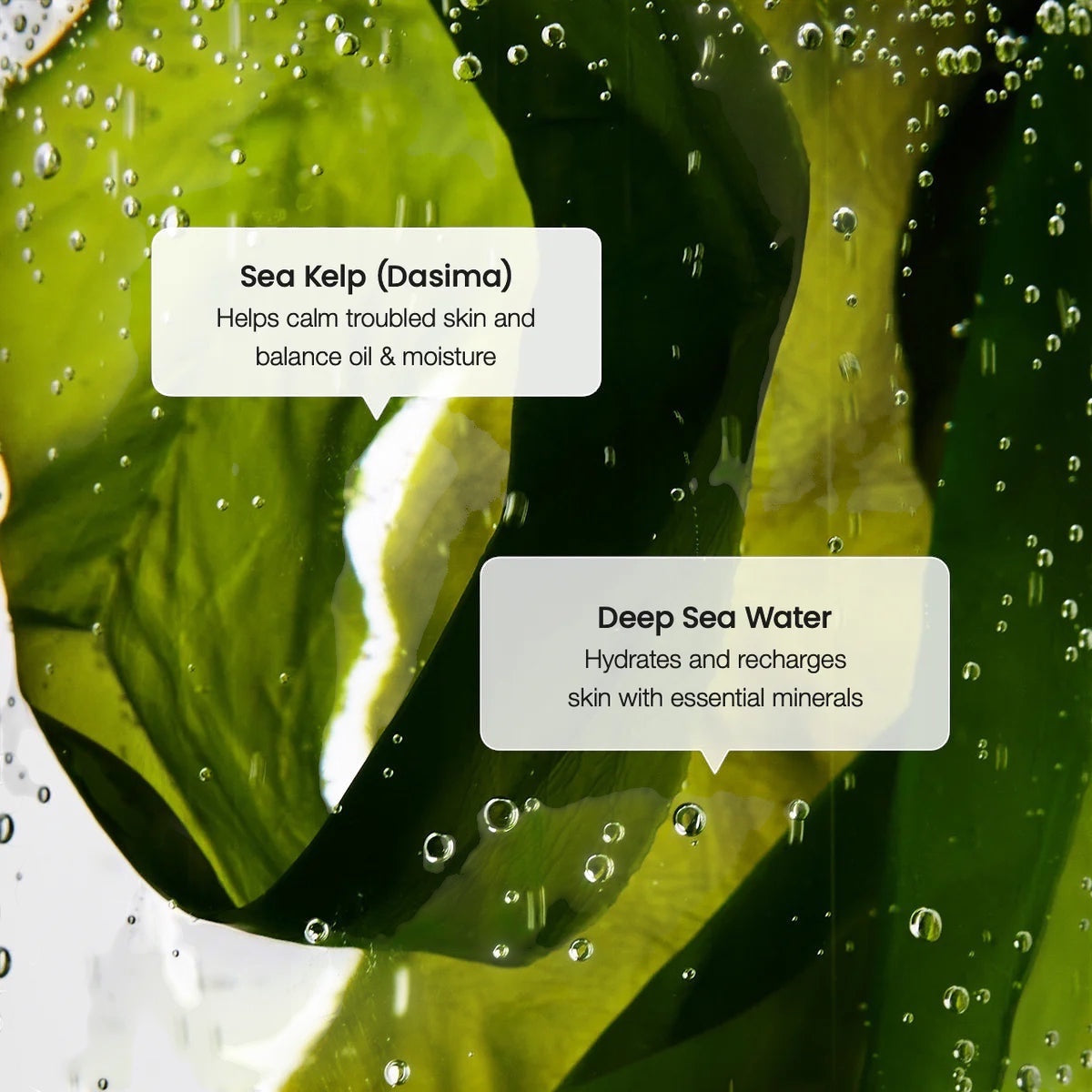 Biodance Refreshing Sea Kelp Serum