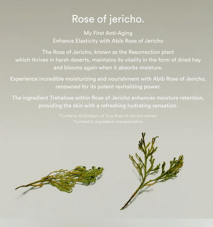 Collageen oogcrème Jericho rose tube